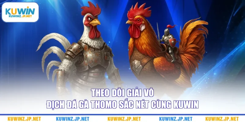 Theo dõi giải vô địch đá gà Thomo sắc nét cùng Kuwin