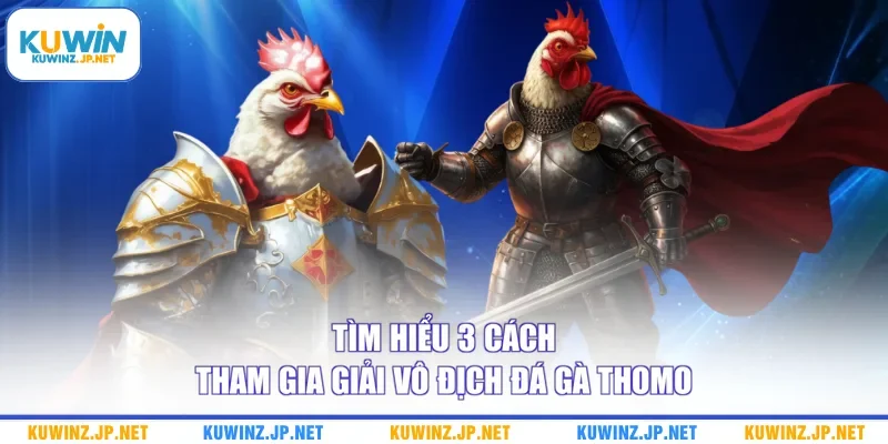 Tìm hiểu 3 cách tham gia giải vô địch đá gà Thomo